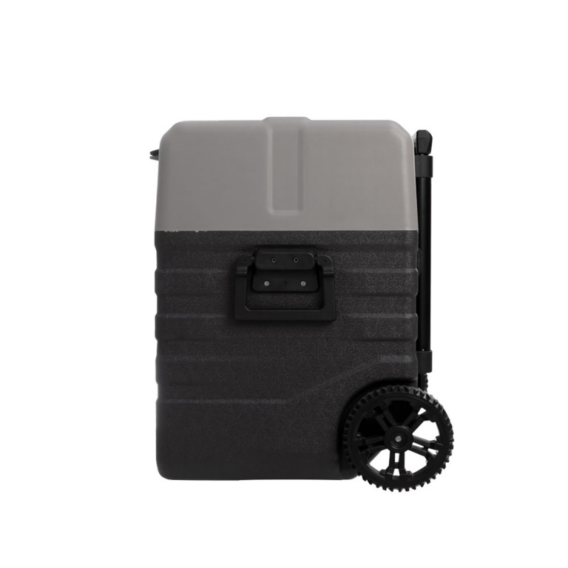 Компрессорный автохолодильник ALPICOOL Alpicool NX42 (42 л.) 12-24-220В